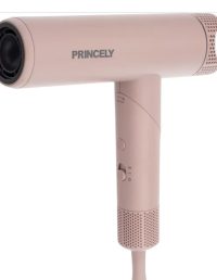 سشوارپرنسلی pr283